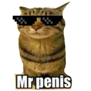 Sticker from Mr_penis