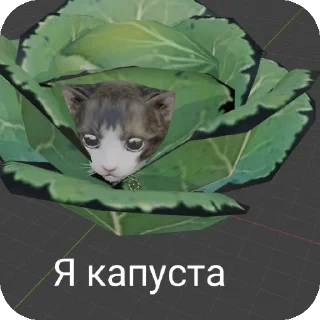 🐱 emoji cu cat memes Telegram sticker 24 of 72