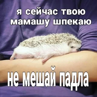 Sticker from Ежи выебут тебя