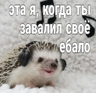 Sticker from Ежи выебут тебя