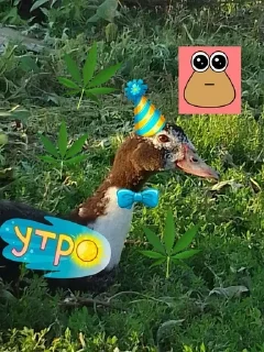 ☝ emoji антон стикер. Telegram sticker 7 of 13