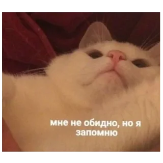 😌 emoji слишком жиза для жизы Telegram sticker 14 of 70