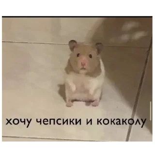 😩 emoji слишком жиза для жизы Telegram sticker 2 of 70