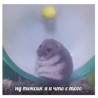 ☺️ emoji слишком жиза для жизы Telegram sticker 16 of 70