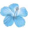🪻 emoji Нёввилет @Prem0emoji Telegram sticker 22 of 44