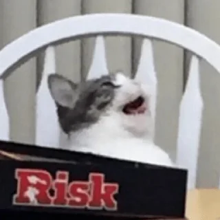😸 emoji Мемы Мемы Telegram sticker 5 of 29