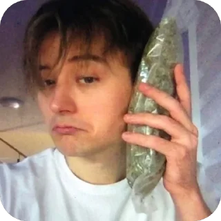 🫥 emoji wtf Telegram sticker 13 of 87