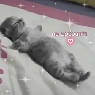 Sticker from Kitty