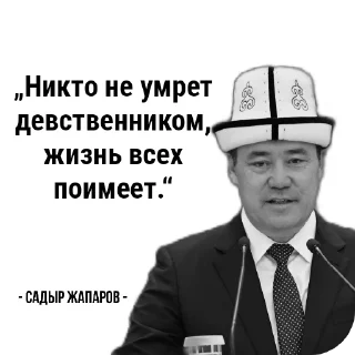 Sticker from Садыр Цитаты