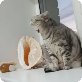 😡 emoji Ксюша и Сава от Чосика Telegram sticker 1 of 18