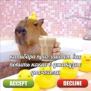 Sticker from Капибары @Bublik_Z