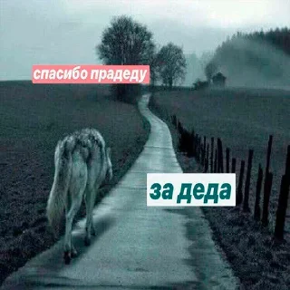 💀 emoji волк не в цирке Telegram sticker 6 of 24