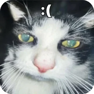 💩 emoji гумек пяточки Telegram sticker 15 of 72
