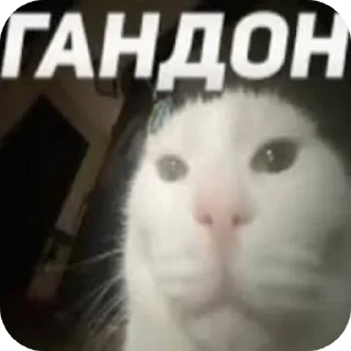 Sticker from Просто
