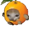 🍊 emoji Premium stickers → @moomv Telegram sticker 6 of 176