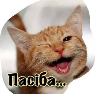 🌟 emoji Катюня стайл Telegram sticker 13 of 33