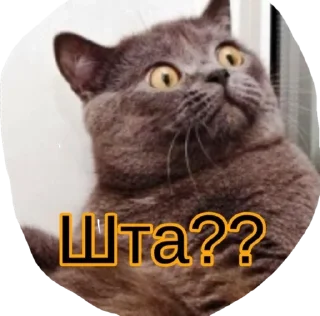 🌟 emoji Катюня стайл Telegram sticker 14 of 33