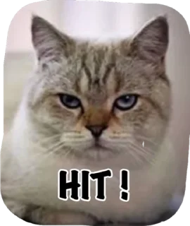🌟 emoji Катюня стайл Telegram sticker 11 of 33