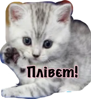 🌟 emoji Катюня стайл Telegram sticker 5 of 33