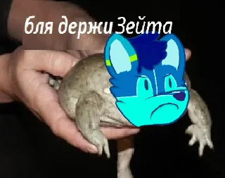 🐸 emoji Бля, держи! Telegram sticker 8 of 17