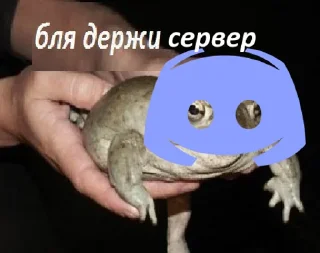 🐸 emoji Бля, держи! Telegram sticker 11 of 17