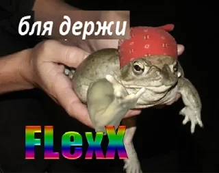 Sticker from Бля, держи!