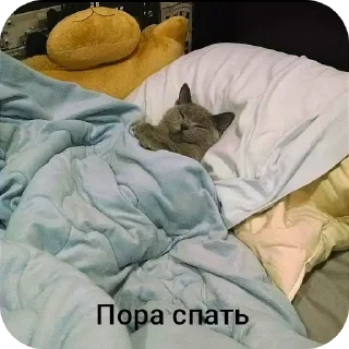 🛏 emoji SXUNDMANE фан Telegram sticker 18 of 86