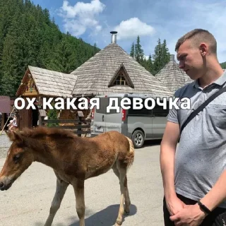 🤰 emoji Люди более Telegram sticker 15 of 87