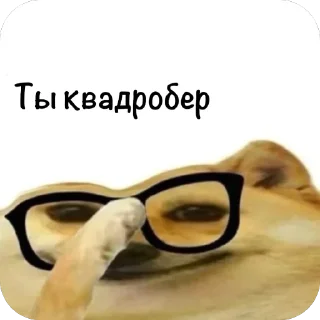 🫥 emoji АНТИ-КВД: @ANTIkvadrobika645 Telegram sticker 9 of 102