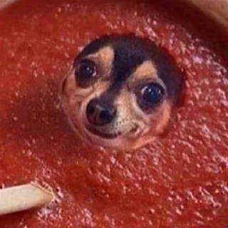 😥 emoji Ебанутые животные Telegram sticker 18 of 118