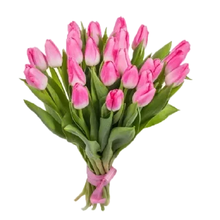 🌷 emoji Flowers Telegram sticker 5 of 29