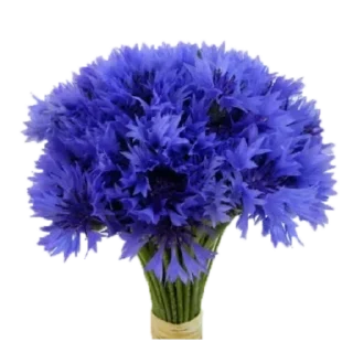 💙 emoji Flowers Telegram sticker 8 of 29