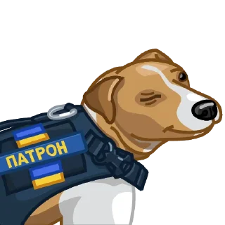 Sticker from Ukraine NOW