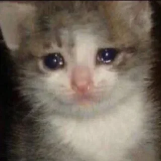 😢 emoji кхе-кхе 🐓 Telegram sticker 9 of 100
