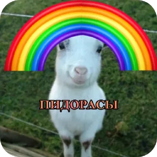 🏳‍🌈 emoji привет я коза Telegram sticker 7 of 19