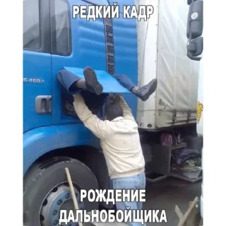 🚗 emoji 6 7 8 9 10 у Богдана здох отец Telegram sticker 5 of 30