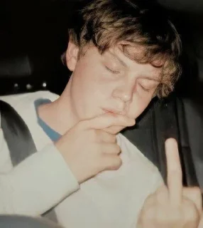 🖕 emoji evan peters Telegram sticker 17 of 33