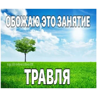 ‼️ emoji Ватафак Telegram sticker 6 of 17