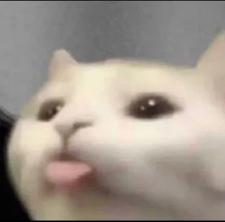 Sticker from котики няши