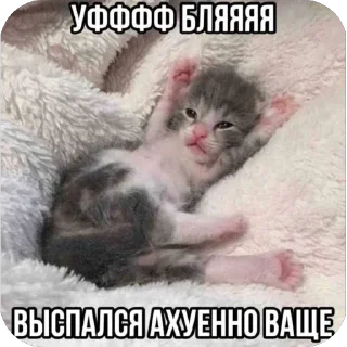 🫥 emoji 💜Жизнь глазками Марсика💜 Telegram sticker 22 of 31