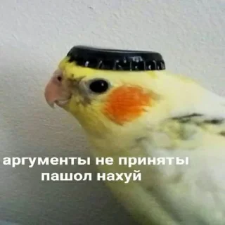 🖕 emoji Солянка, похуй же да Telegram sticker 24 of 107
