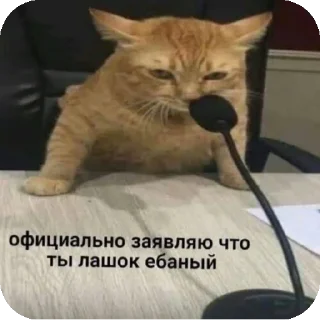 Sticker from Котики