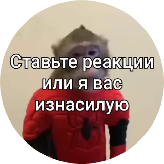 🌟 emoji Бибизяны 2.0 @cryptopenys Telegram sticker 22 of 86