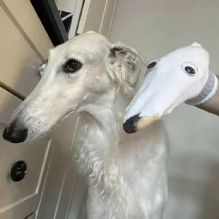 😊 emoji borzoi Telegram sticker 11 of 23