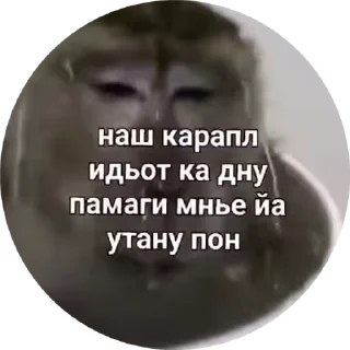🌟 emoji Бибизяны 2.0 @cryptopenys Telegram sticker 12 of 86