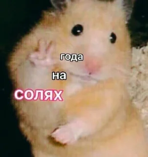 🧂 emoji Зина, Галя, Лариса Telegram sticker 9 of 109
