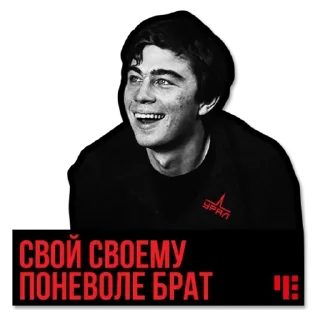 💚 emoji Брат Telegram sticker 19 of 23