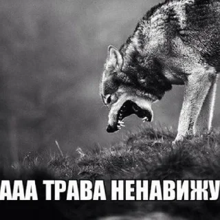 🤬 emoji собака смешная Telegram sticker 9 of 36
