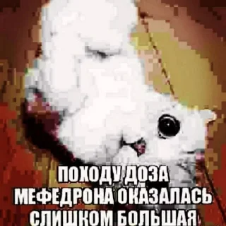 😦 emoji собака смешная Telegram sticker 12 of 36