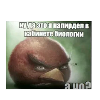 😎 emoji Негр Telegram sticker 16 of 39